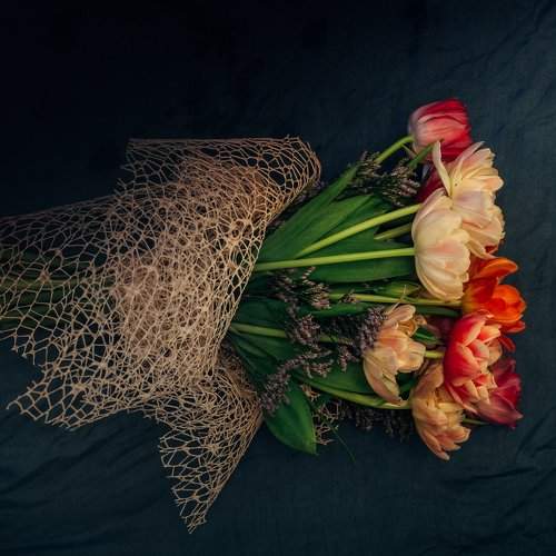 Photo #2789148