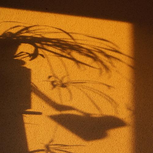 Photo #2789504