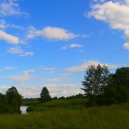 Photo #2789642