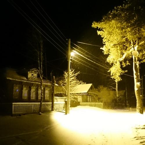 Сосна