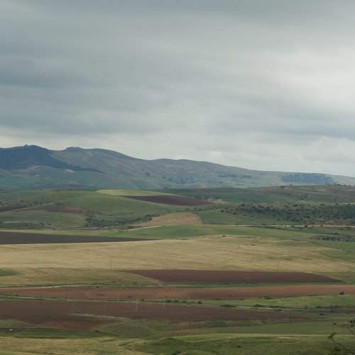 Open Land