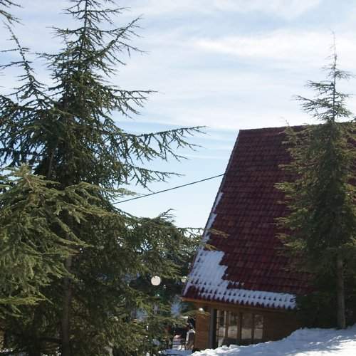 winter house