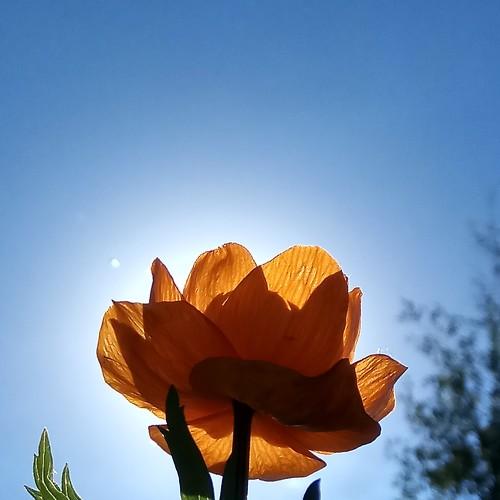 Photo #2792126