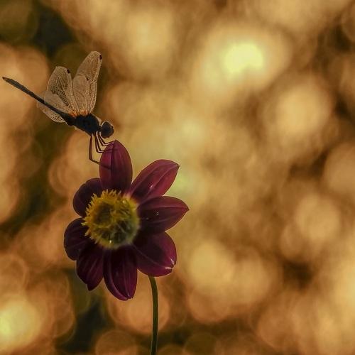 Beauty of nature