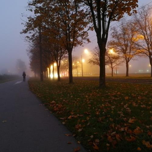 Дорога домой