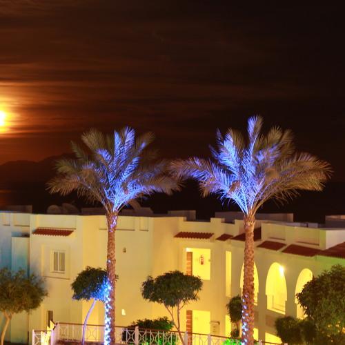 Moon lightt