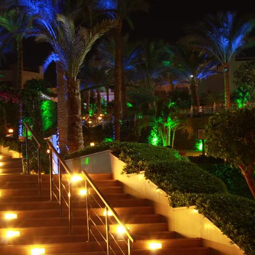 Lights steps