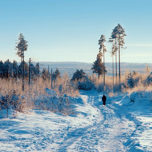 Frozen