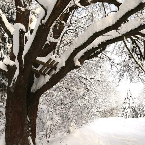 Photo #2795441