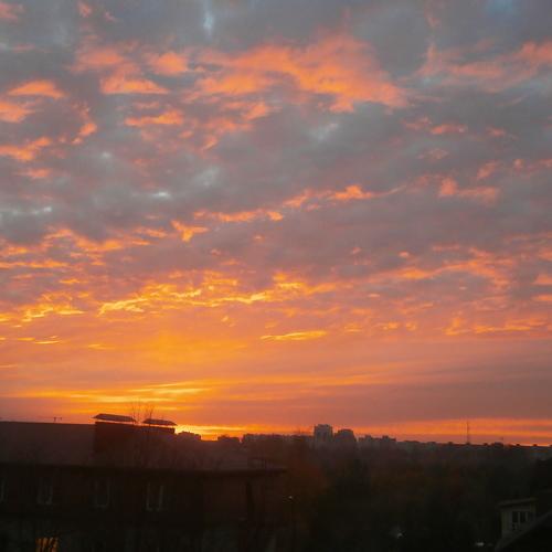 Photo #2796124