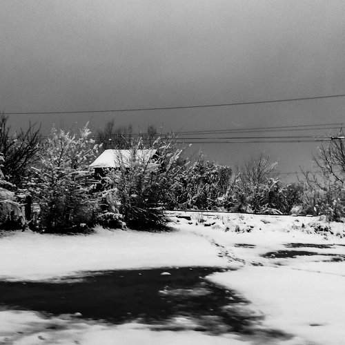 winter