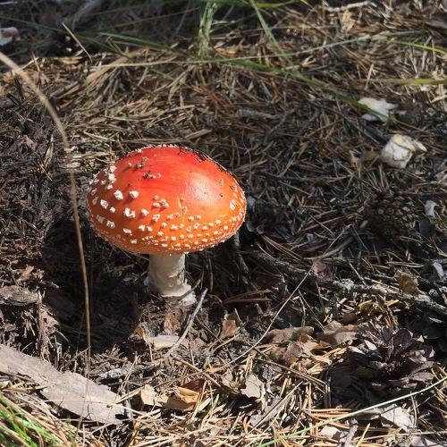 Photo #2797951