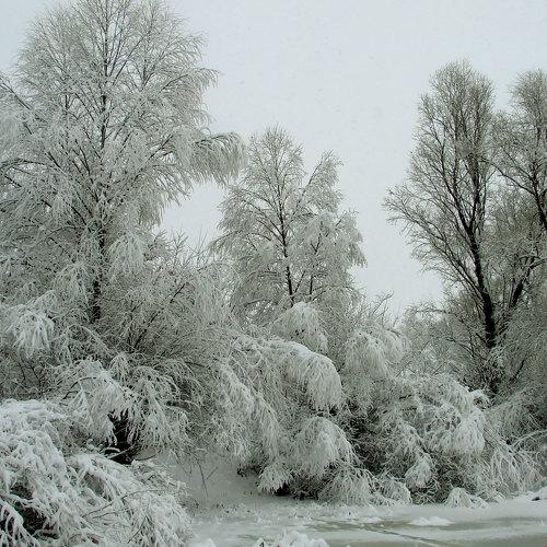 Winter UA
