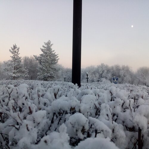 When the days are cold