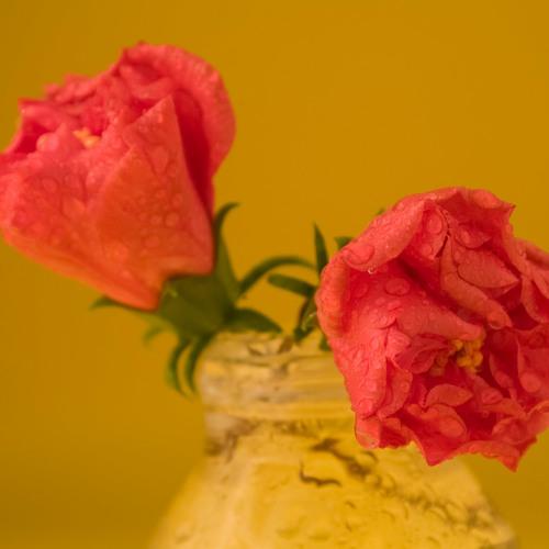 Red Flowers