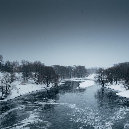 Photo #2800089