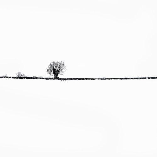 Irelands Snow