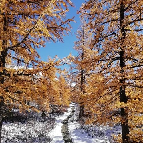 Осень Белуха