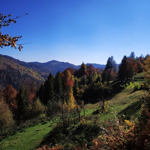 Буковинские Карпати