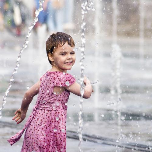 Photo #2802540