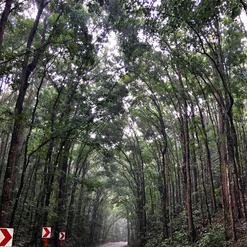 Photo #2802959