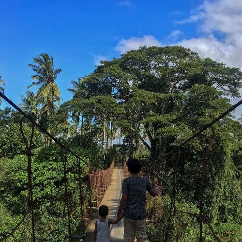 Photo #2803034