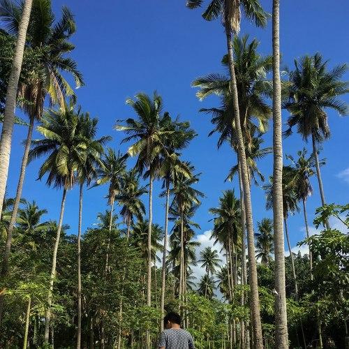 Photo #2803043