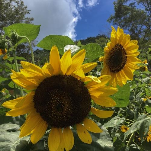 Photo #2803079