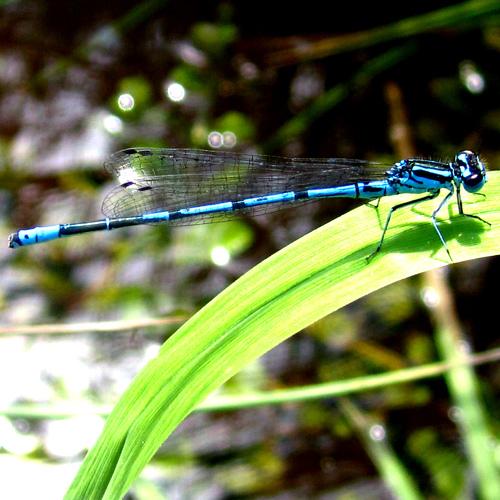 Photo #2804522