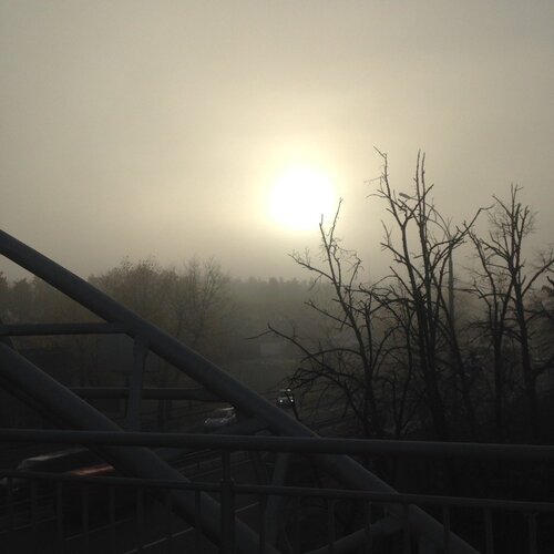Photo #2804638