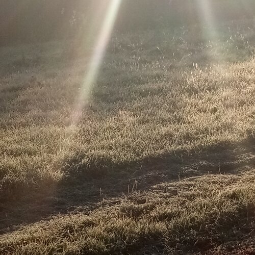 Photo #2804643