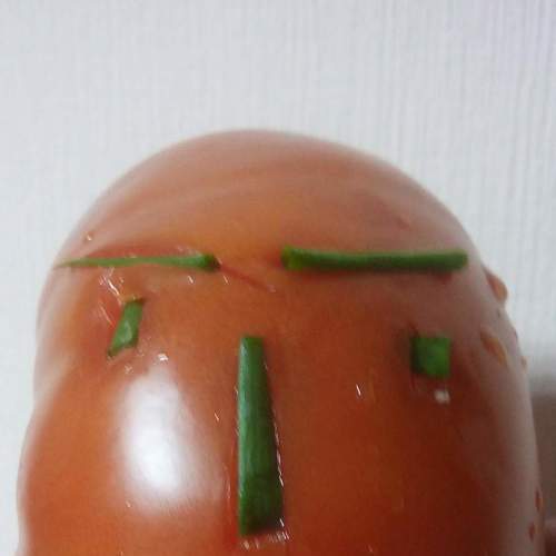 СЕНЬО́Р помидор