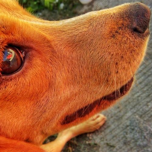 Sam