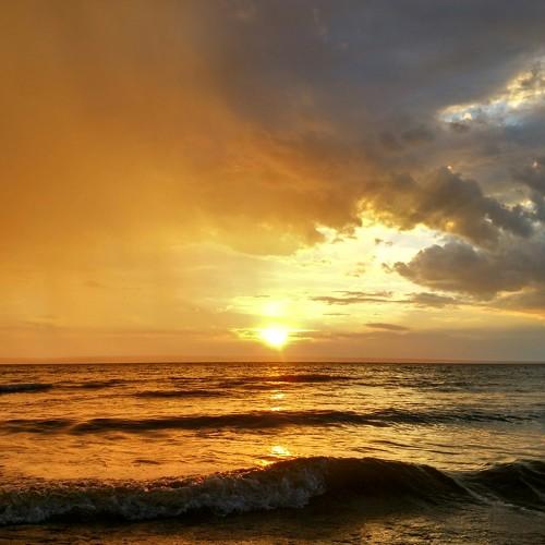 Photo #2806536