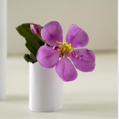 flower in pillar