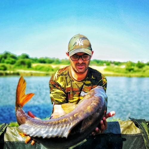 Carp shot
