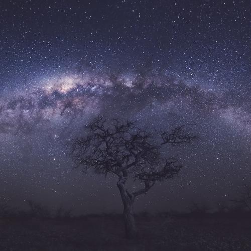 В пустыне Намибии