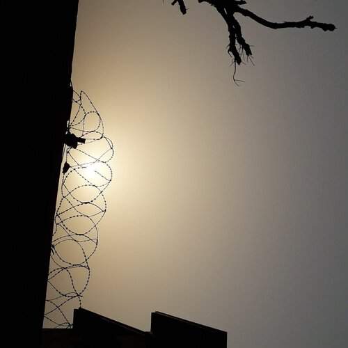 Sun Set