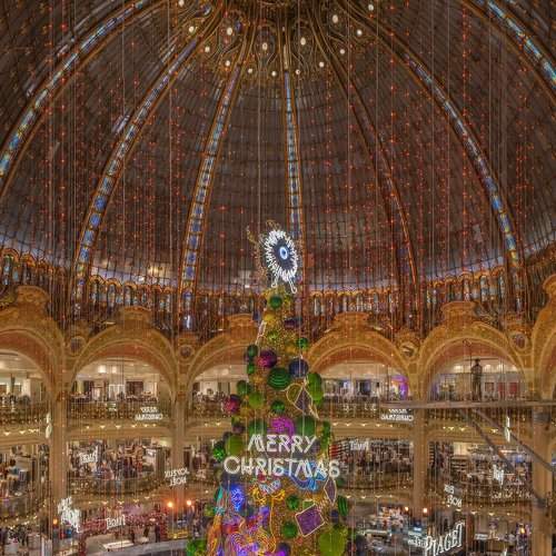 Oh Christmas tree