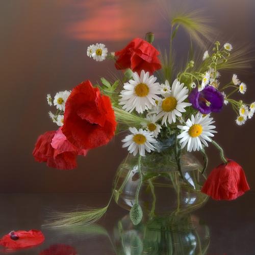 Маки