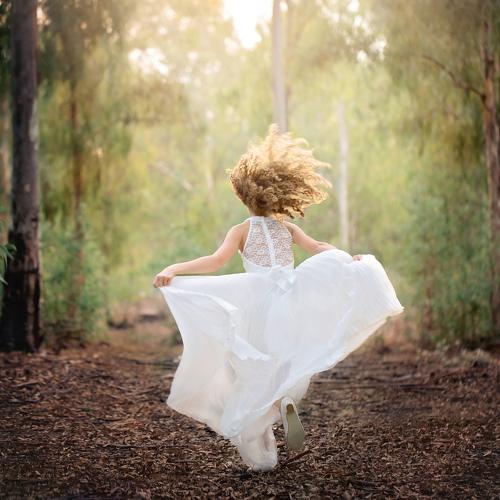 Free Like a Bird