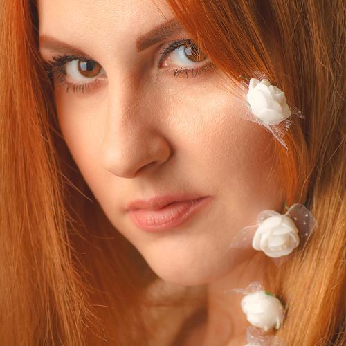Photo #2812902