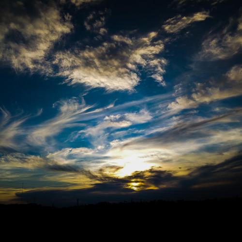 Photo #2814312