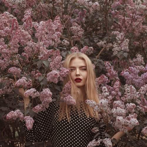 Lilac