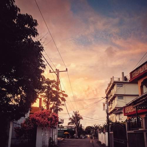In Mauritius's streets