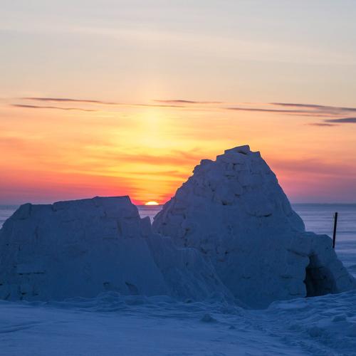 Photo #2816897