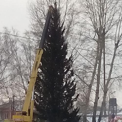 Городская ёлка