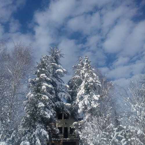 Ralja snow