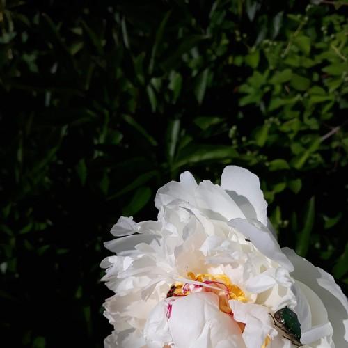 Photo #2820958