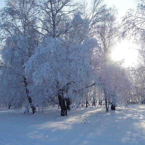 солнце